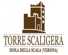 logo-torre-scaligera